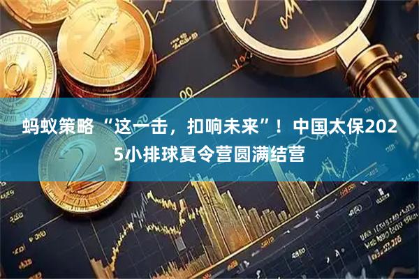 蚂蚁策略 “这一击,扣响未来”!中国太保2025小排球夏令营圆满结营