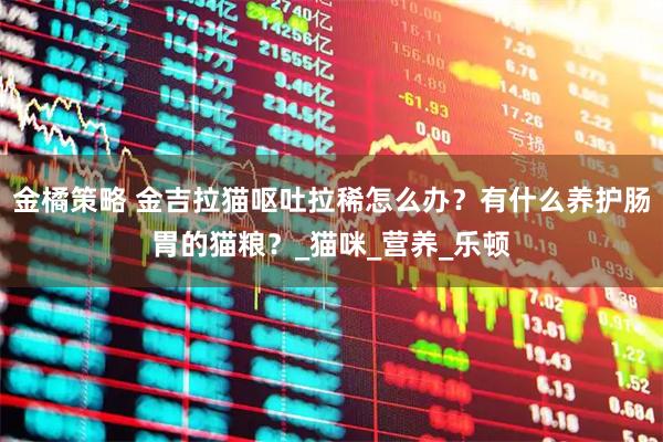 金橘策略 金吉拉猫呕吐拉稀怎么办?有什么养护肠胃的猫粮?_猫咪_营养_乐顿